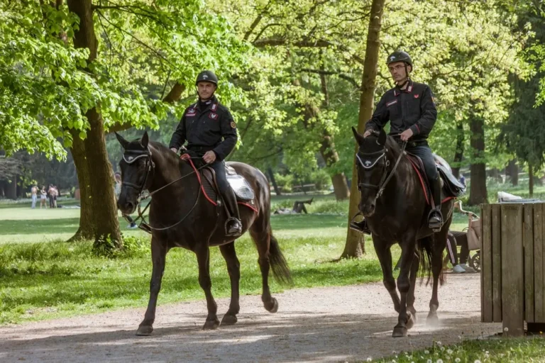 Carabinieri Forestali: chi sono, cosa fanno e come si entra