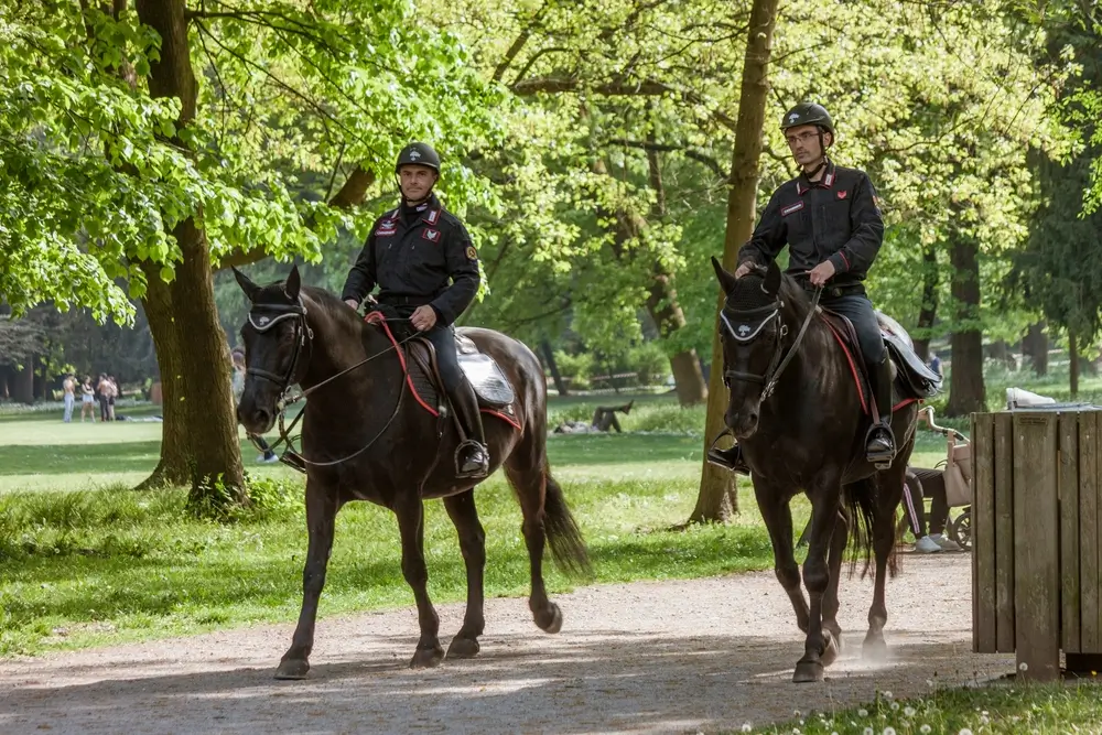 Due Carabinieri Forestali in divisa impegnati in una pattuglia a cavallo attraverso un parco boschivo.